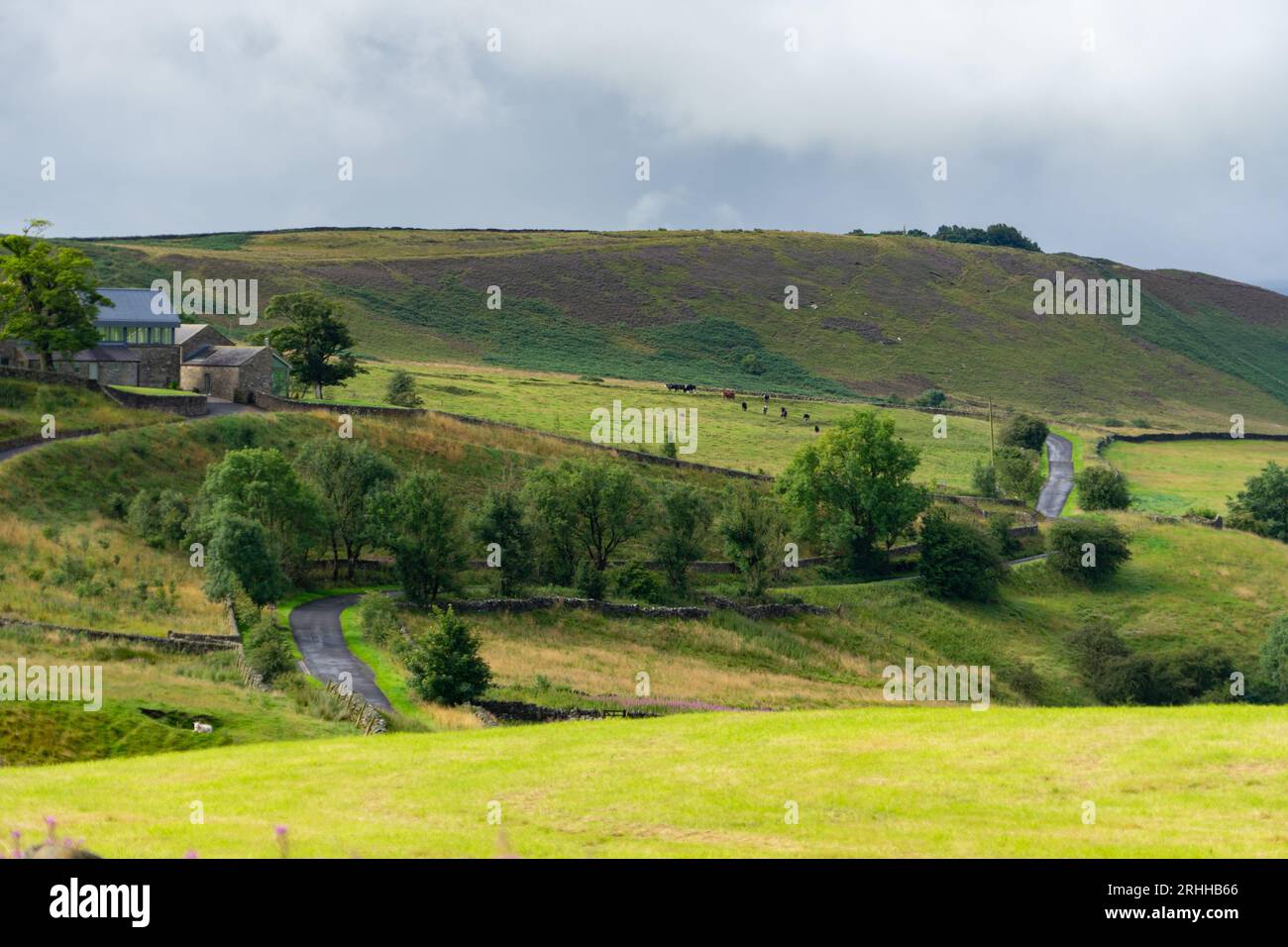 Rural Landscape near Hadrian's Wall, Northumberland Stock Photo - Alamy
