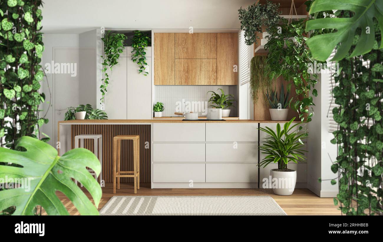 Jungle frame, biophilic concept idea interior design. Tropical leaves over modern white kitchen with houseplants. Cerpegia woodii and monstera delicio Stock Photo