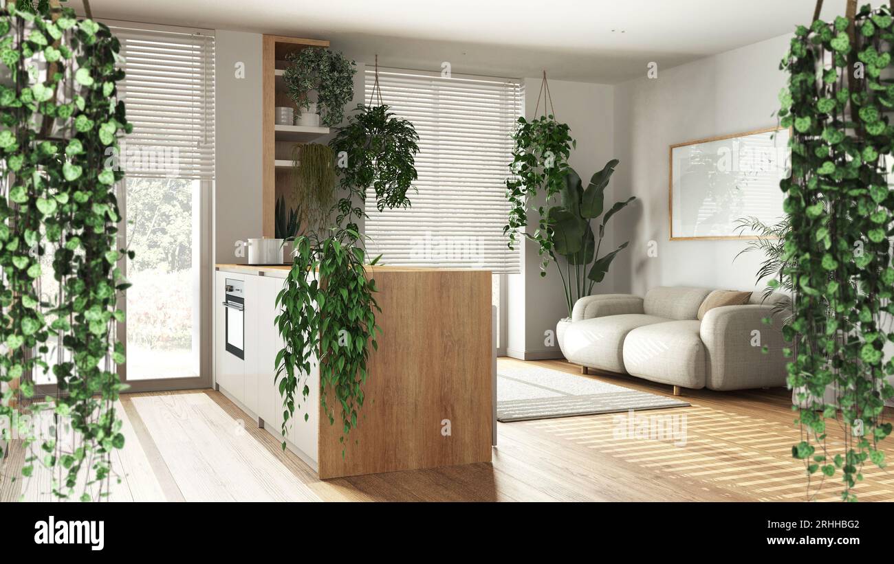 Jungle frame, biophilic concept idea interior design. Tropical leaves over minimal kitchen, dining and living room. Cerpegia woodii hanging plants Stock Photo