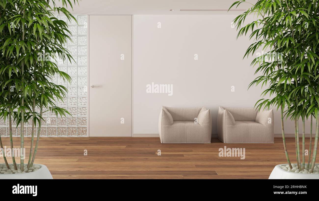Zen interior with potted bamboo plant, natural interior design concept ...
