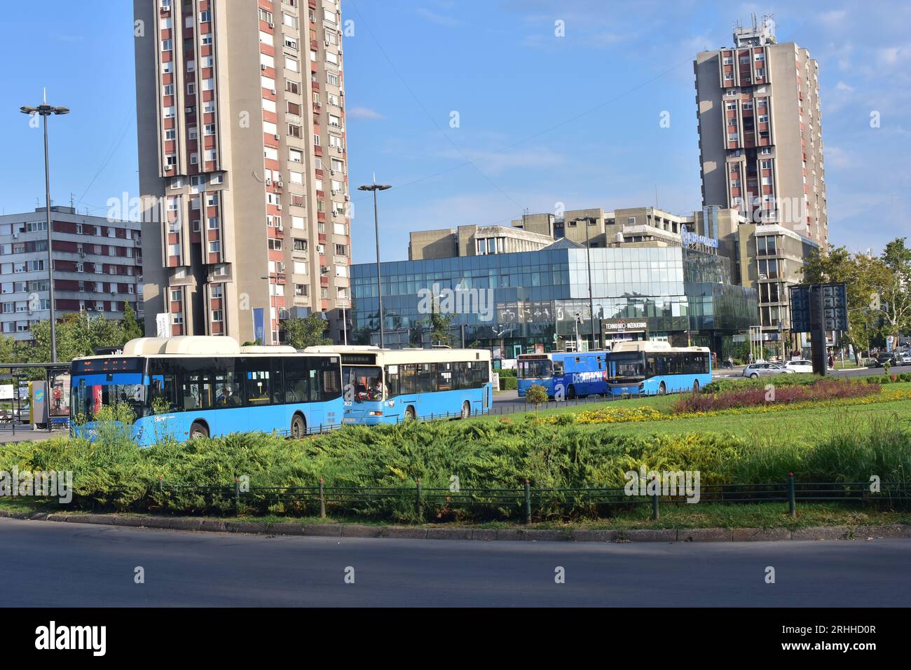Public transport buses on a bus station. Mix of old and new, electric ...