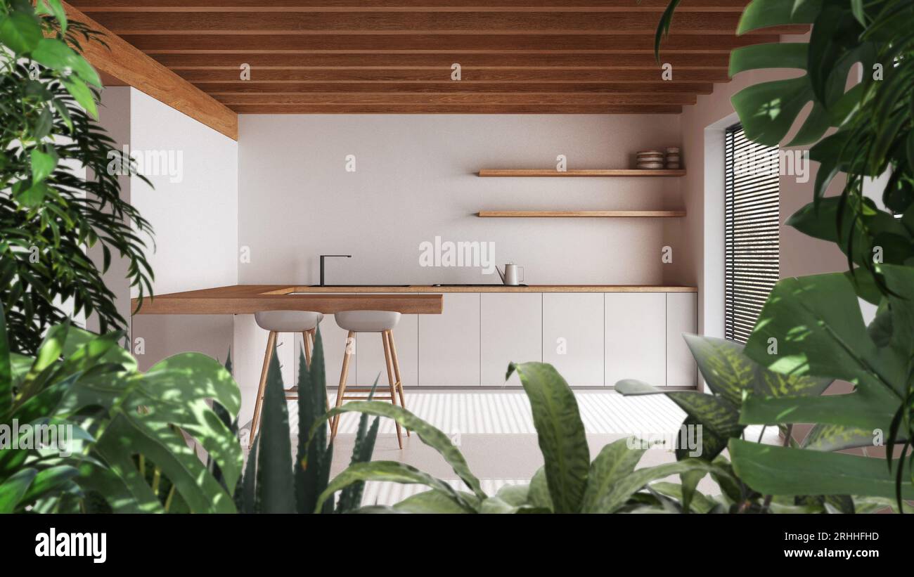 Jungle frame, biophilic idea. Tropical leaves over minimal white ...