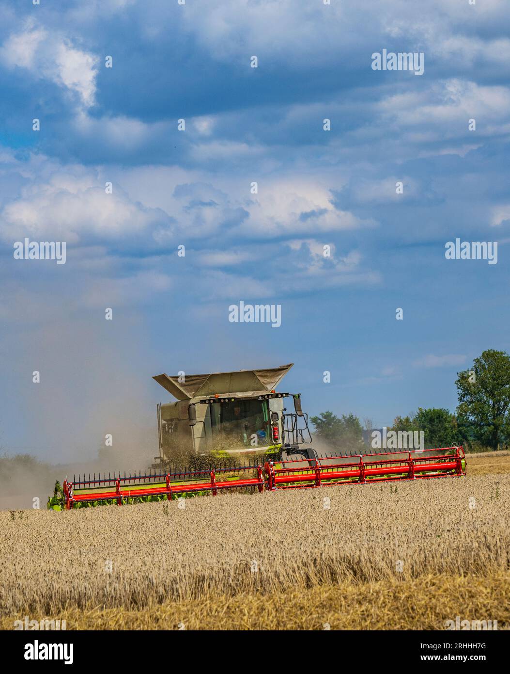 A Claas combine harvester working to harvest the corn on a summer’s day in the UK Stock Photo