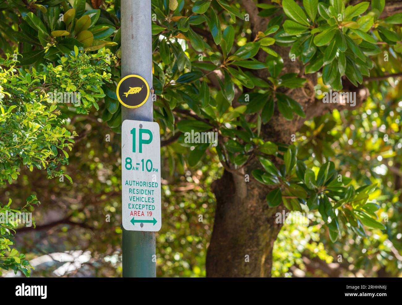 A one hour parking sign in Elizabeth Bay, Sydney, Australia mounted below a small fish symbol of the Bondi to Manly (80km) walk Stock Photo
