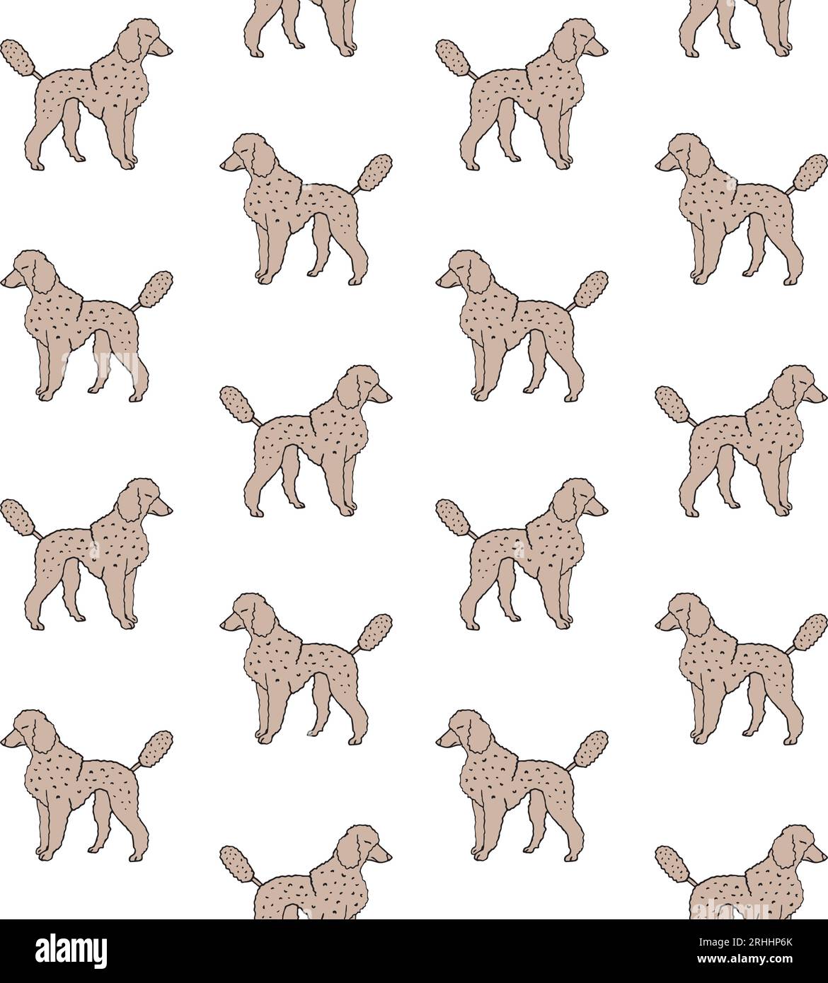 Vector seamless pattern of hand drawn doodle sketch colored poodle dog ...