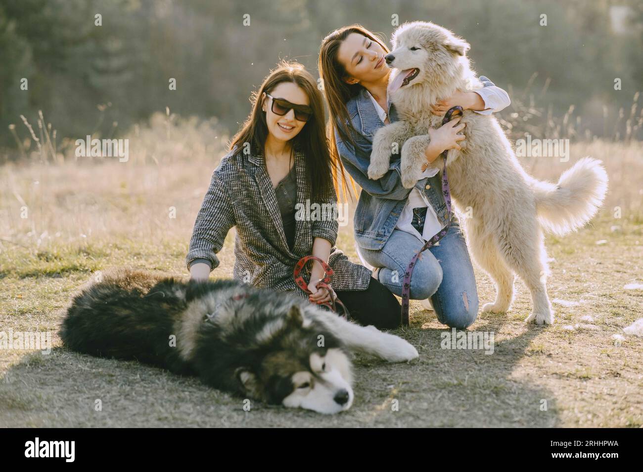 Women holding their dogs hi-res stock photography and images - Alamy