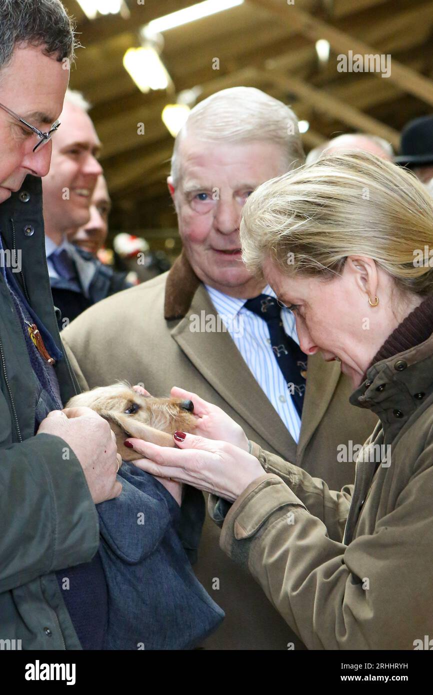 Sophie, Duchess of Wessex, at the Shire Horse Society National Show