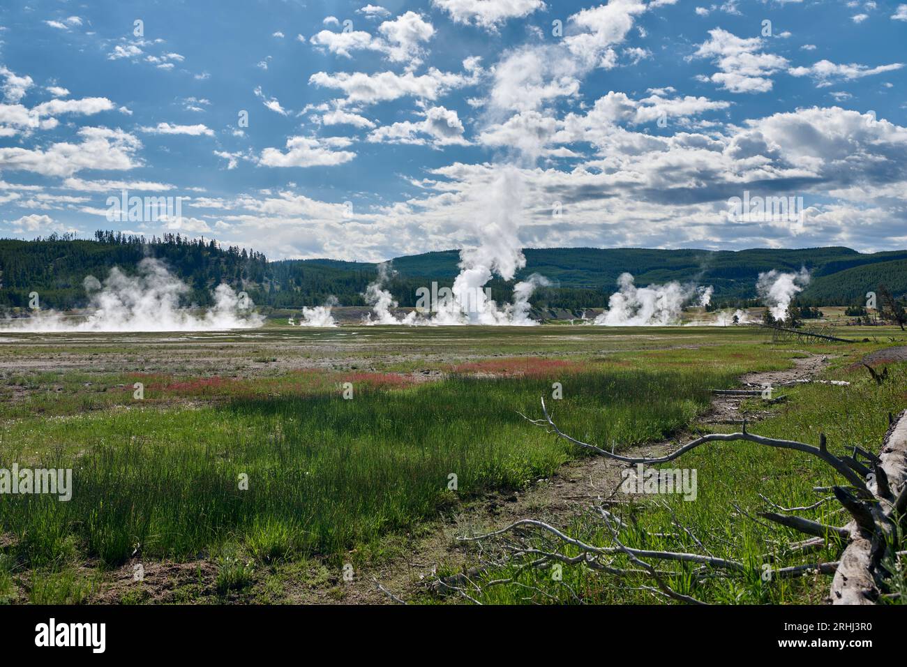 steam over Midway Geyser Basin, Yellowstone National Park, Wyoming, United States of America Stock Photo