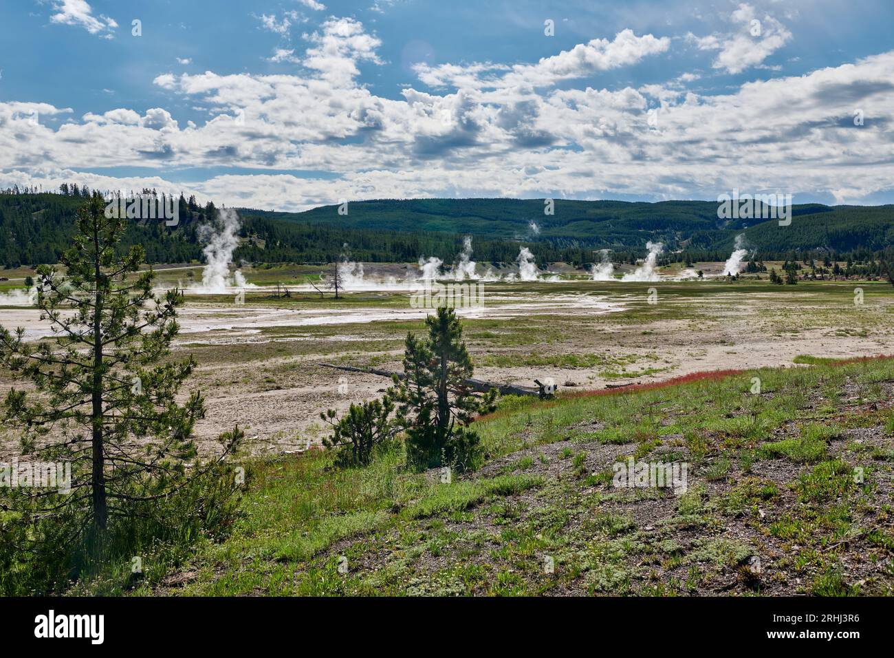steam over Midway Geyser Basin, Yellowstone National Park, Wyoming, United States of America Stock Photo
