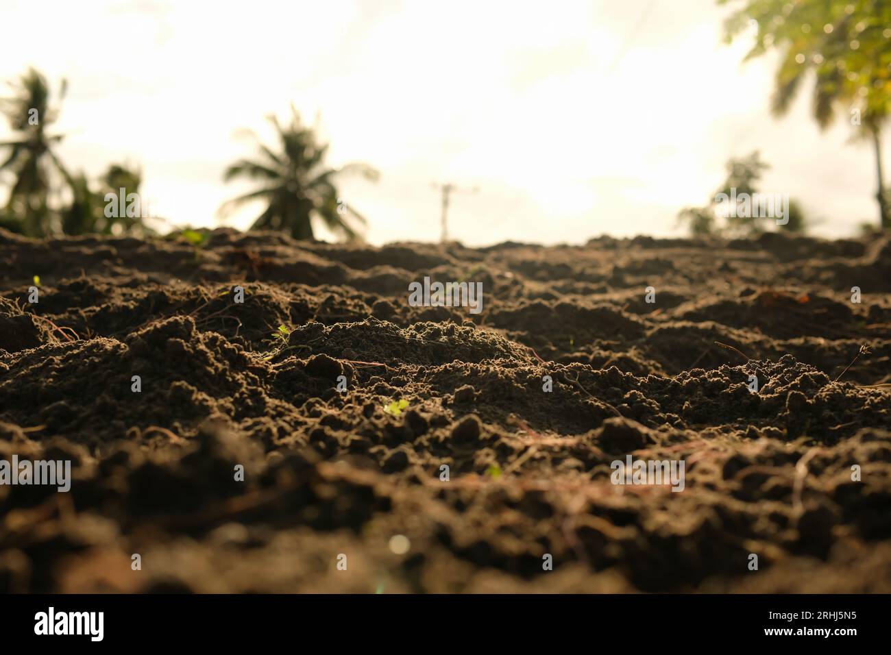 Loose soil before planting vegetables, agriculture Stock Photo Alamy