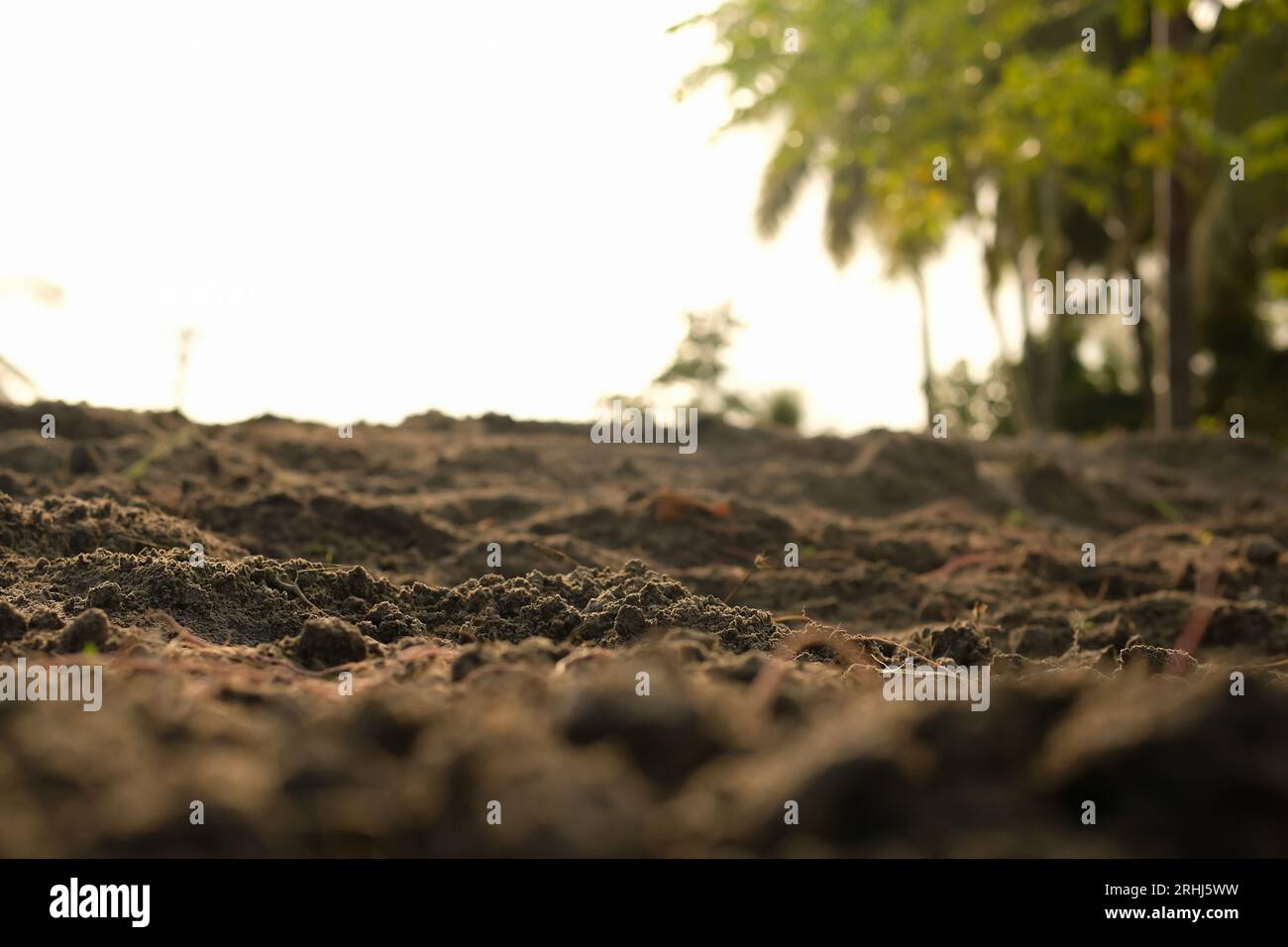 Loose soil before planting vegetables, agriculture Stock Photo Alamy