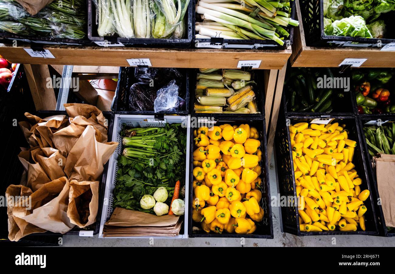 OUD BEIJERLAND - Products on the shelves of the food bank in the Hoeksche Waard. If the government does not announce any measures on Prinsjesdag to help poorer households pay the bills, poverty will increase sharply. ANP JEFFREY GROENEWEG netherlands out - belgium out Stock Photo