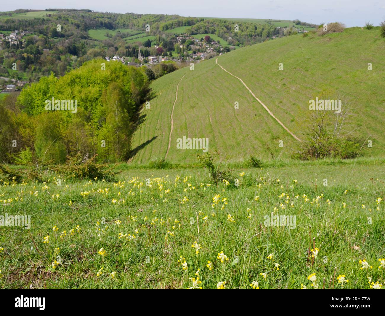 Calcareous grassland slopes of Rodborough Common looking towards Woodchester near Stroud in the Gloucestershire Cotswolds UK Stock Photo