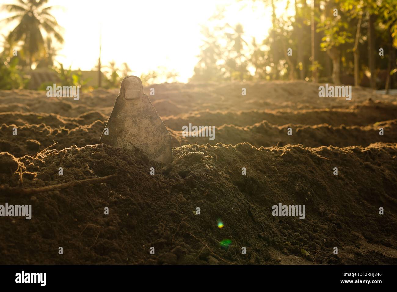 Loose soil before planting vegetables, agriculture Stock Photo Alamy