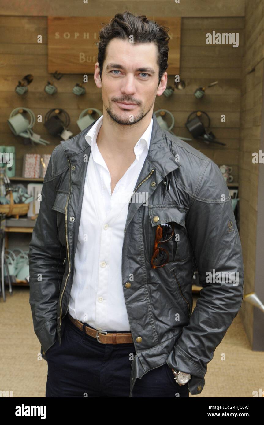 David Gandy,  RHS Chelsea Flower Show,  Press and VIP Preview Day,  Royal Hospital, Chelsea, London, UK Stock Photo