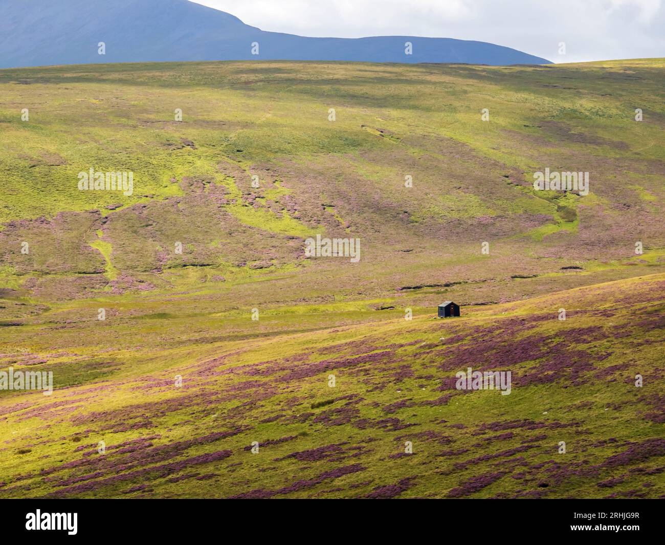 The Great Lingy Hut Hi res Stock Photography And Images Alamy the-great-lingy-hut-hi-res-stock-photography-and-images-alamy