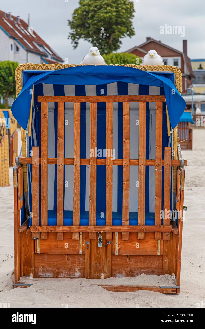 Beach chair with roof hotsell