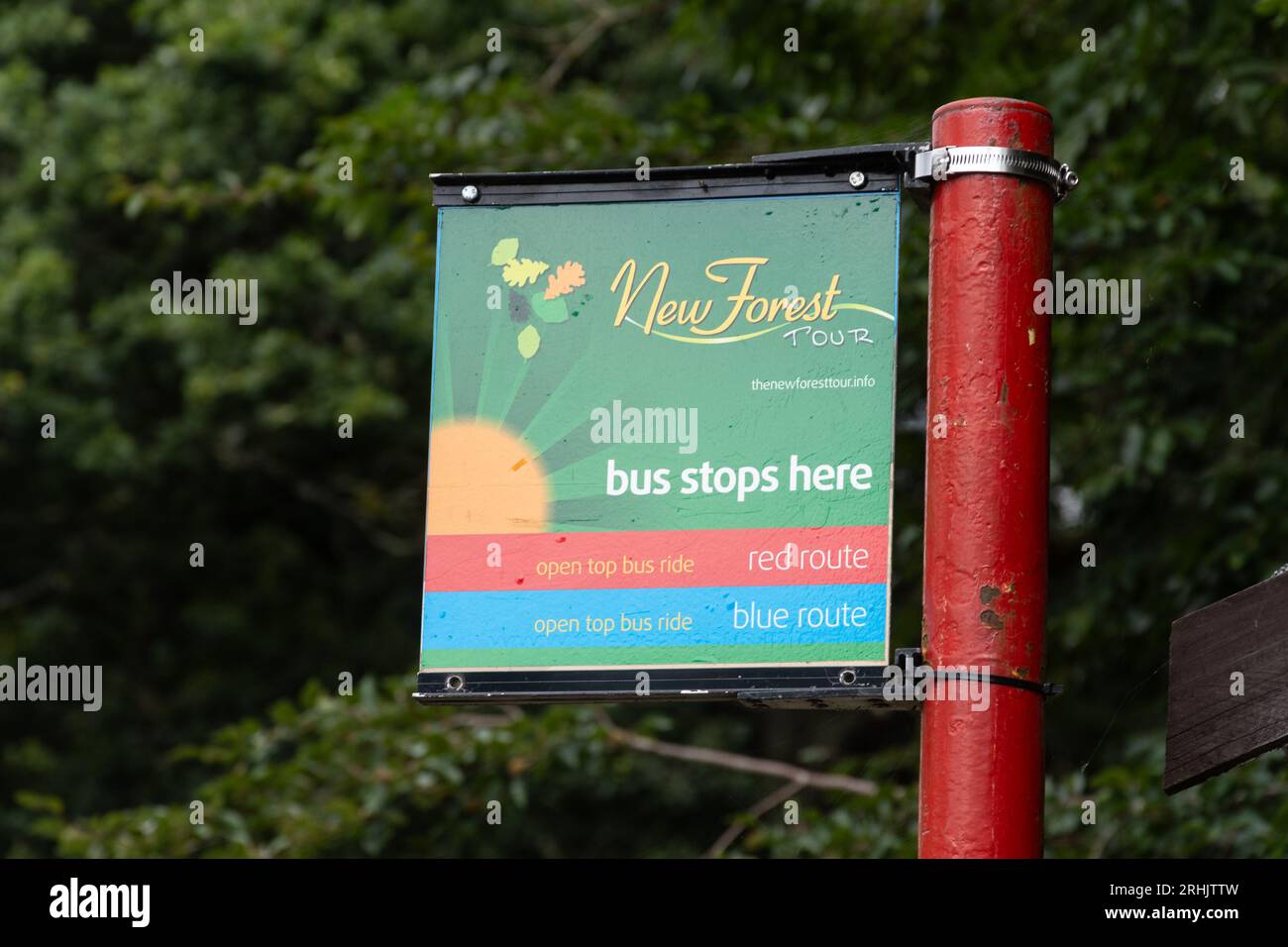 Sign at bus stop - New Forest tour bus stops here, Hampshire, England, UK Stock Photo