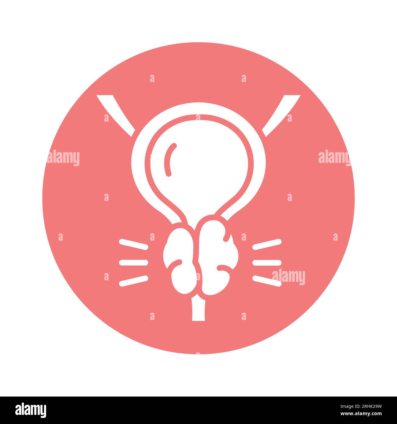 Male reproductive system line drawing hi-res stock photography and ...