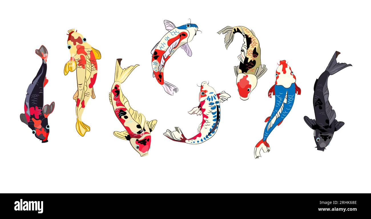 Koi fish set Stock Vector Image & Art - Alamy