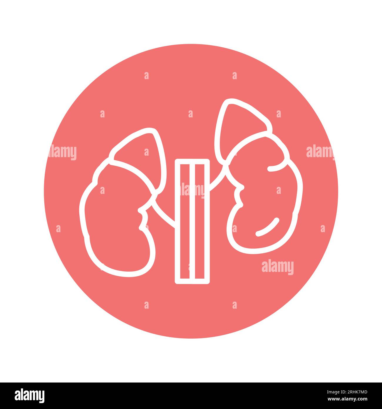 Adrenal Stock Vector Images Alamy