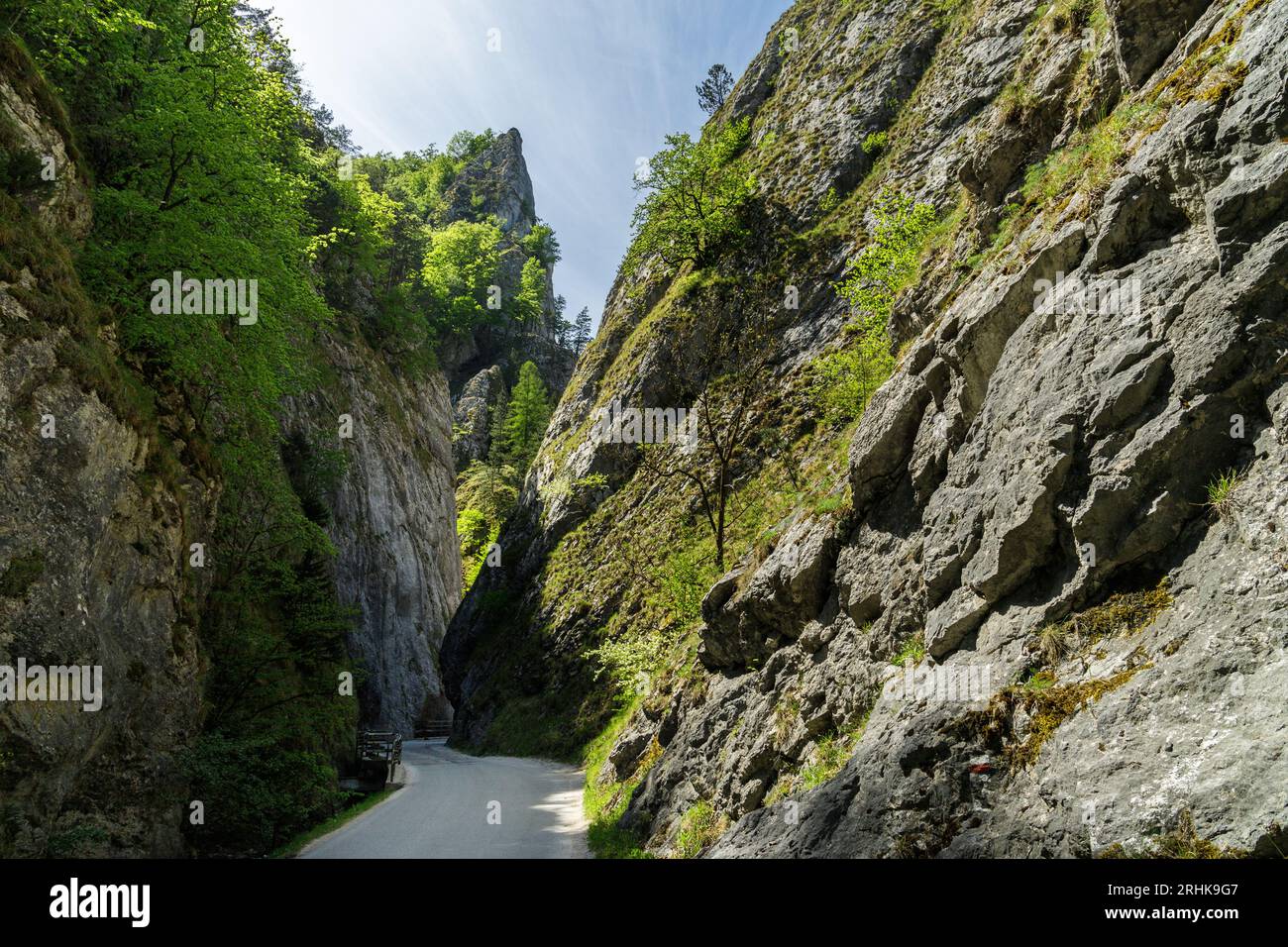 Curvy road between steep rocks of Maninska tiesnava gorge in Strazovske vrchy mountains, Slovakia. Sunny spring day. Stock Photo