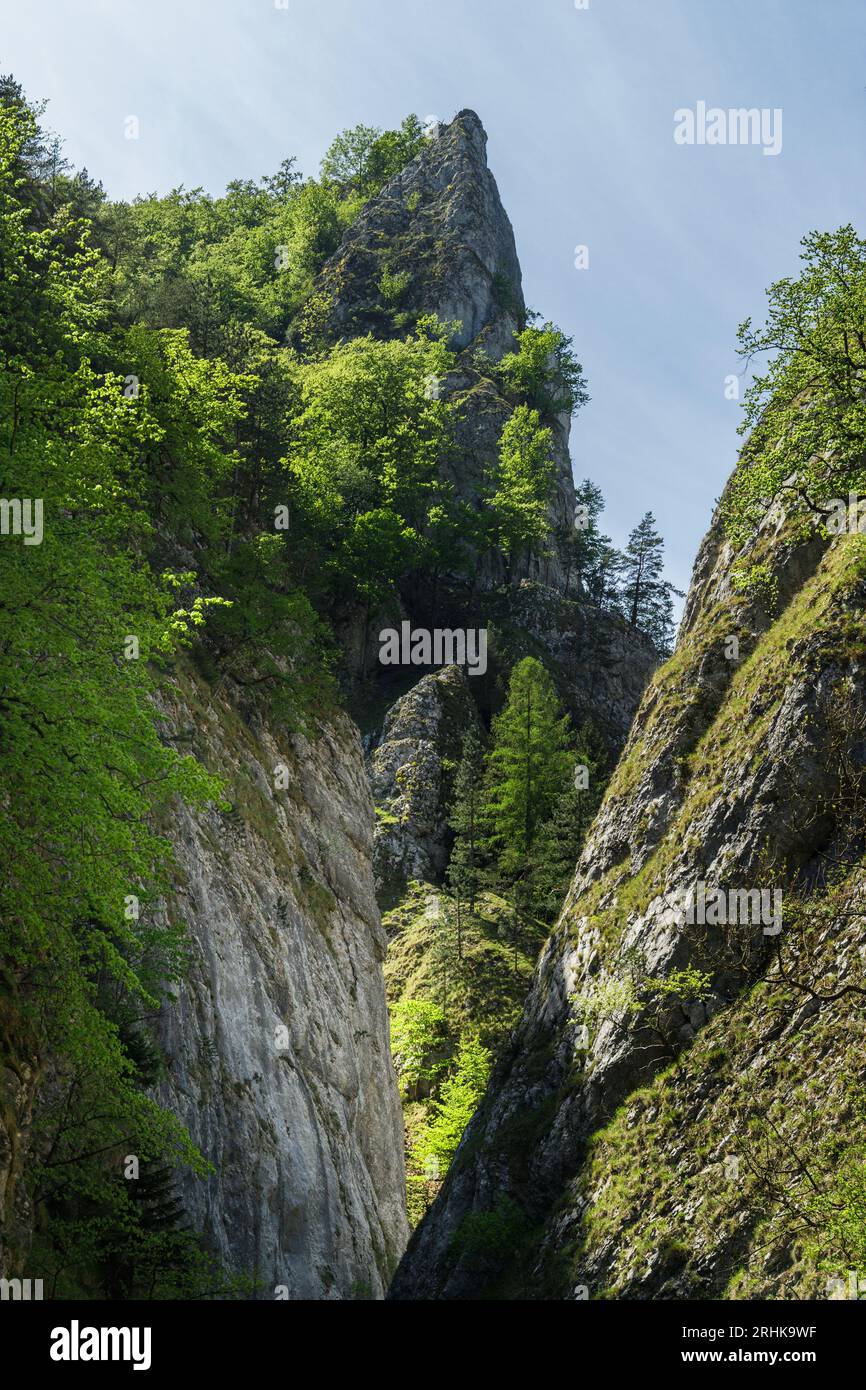 Steep rocks of Maninska tiesnava gorge in Strazovske vrchy mountains, Slovakia. Sunny spring day. Stock Photo