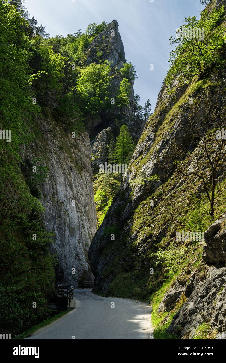 Curvy road between steep rocks of Maninska tiesnava gorge in Strazovske vrchy mountains, Slovakia. Sunny spring day. Stock Photo