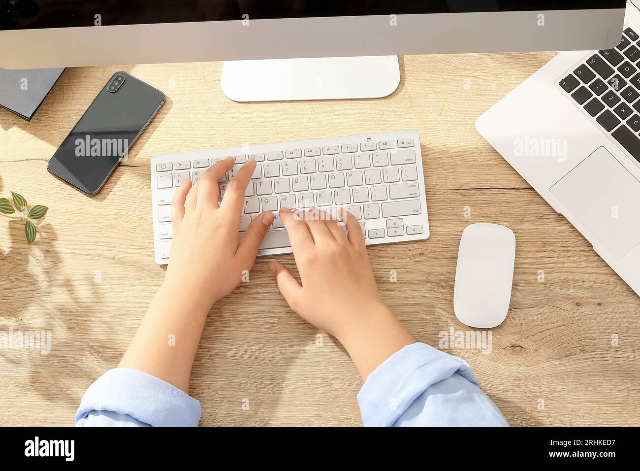 Female programmer typing on computer keyboard in office Stock Photo