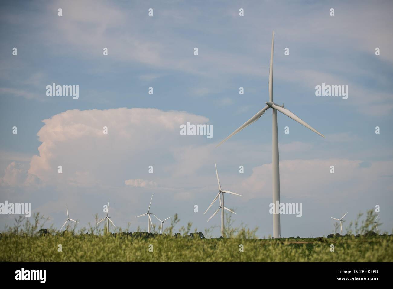 Electricity production on a turbine wind farm on Wolfe Island; Ontario's renewable resources initiatives for green energy production Stock Photo