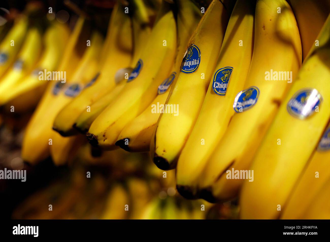 Ecuador 2023 hires stock photography and images Alamy