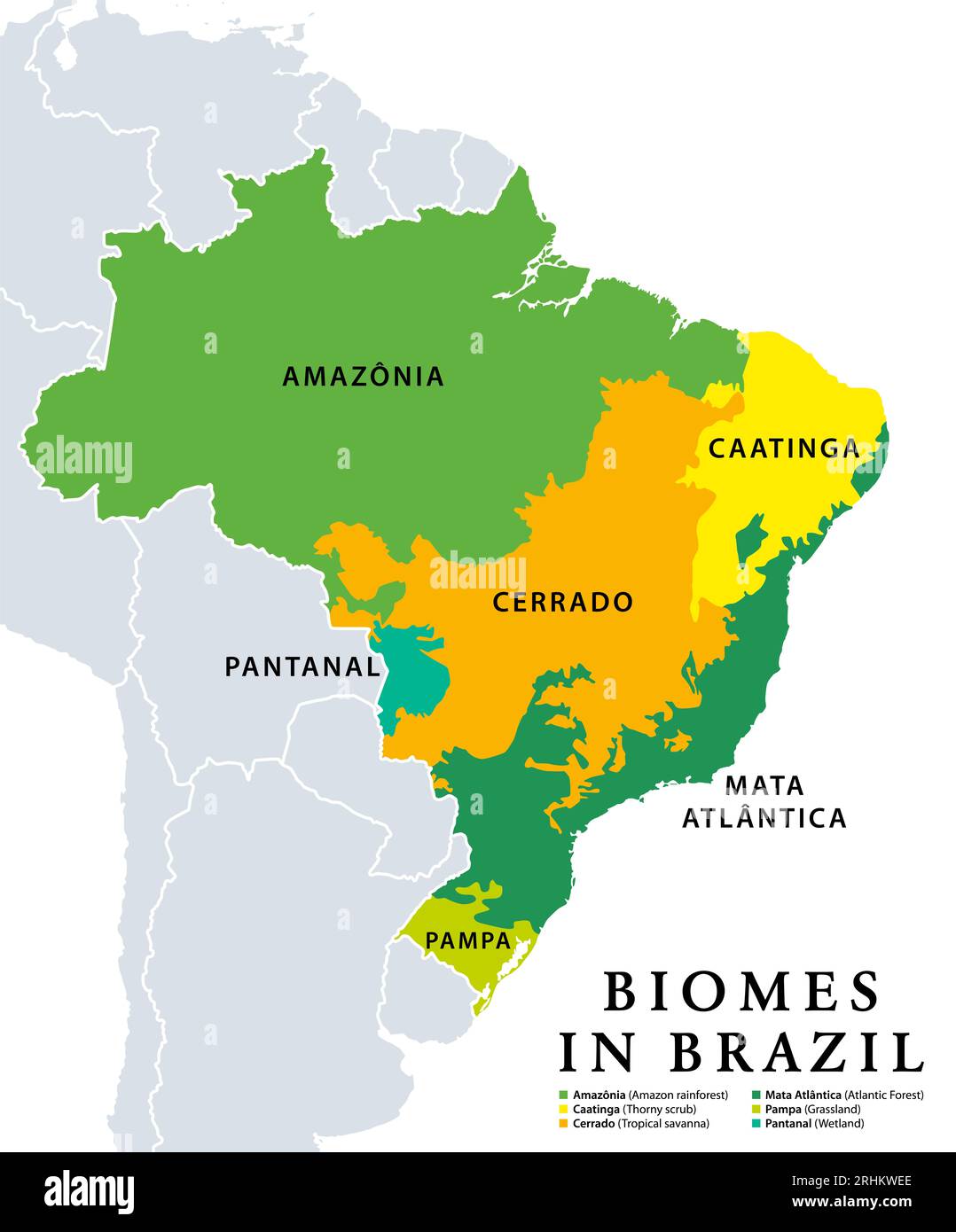Biomes in Brazil, map of ecosystems with natural vegetation. Amazon rainforest, thorny scrub, tropical savanna, Atlantic Forest, rassland and wetland. Stock Photo