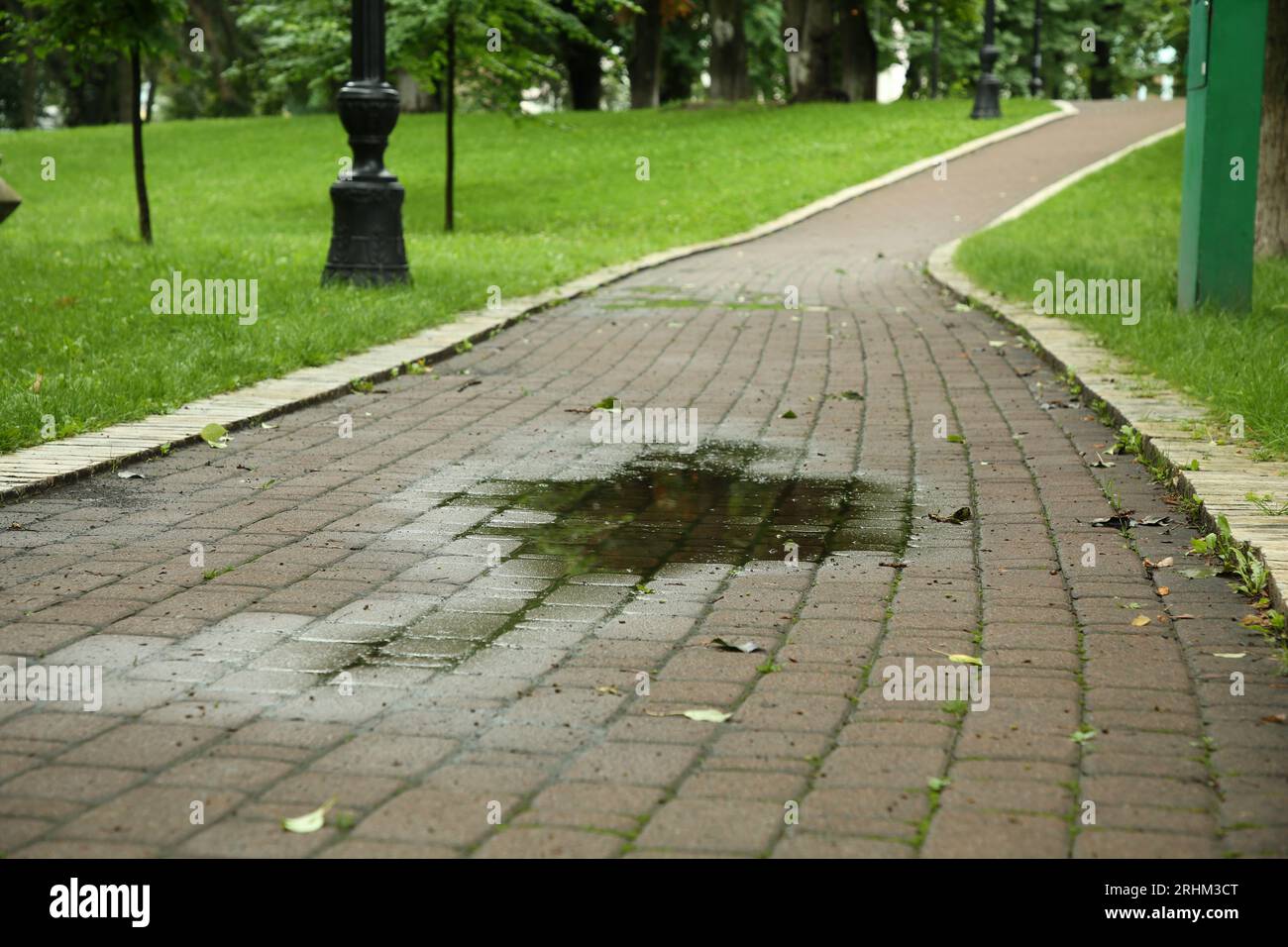 Puddle of rain water on paved pathway in park Stock Photo Alamy
