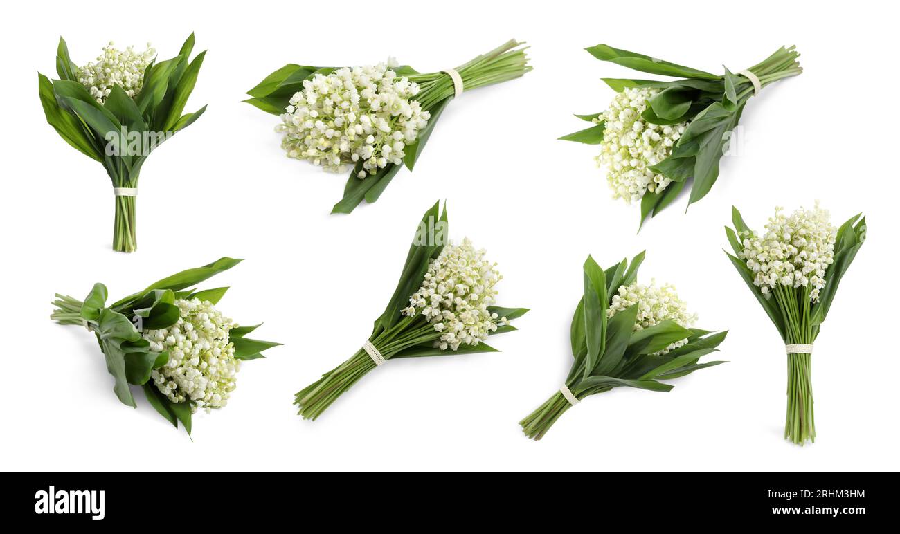 Beautiful lily of the valley flowers with green leaves. Set with ...