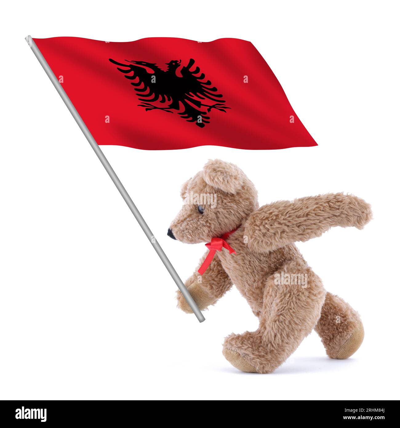 Albania flag being carried by a cute teddy bear Stock Photo