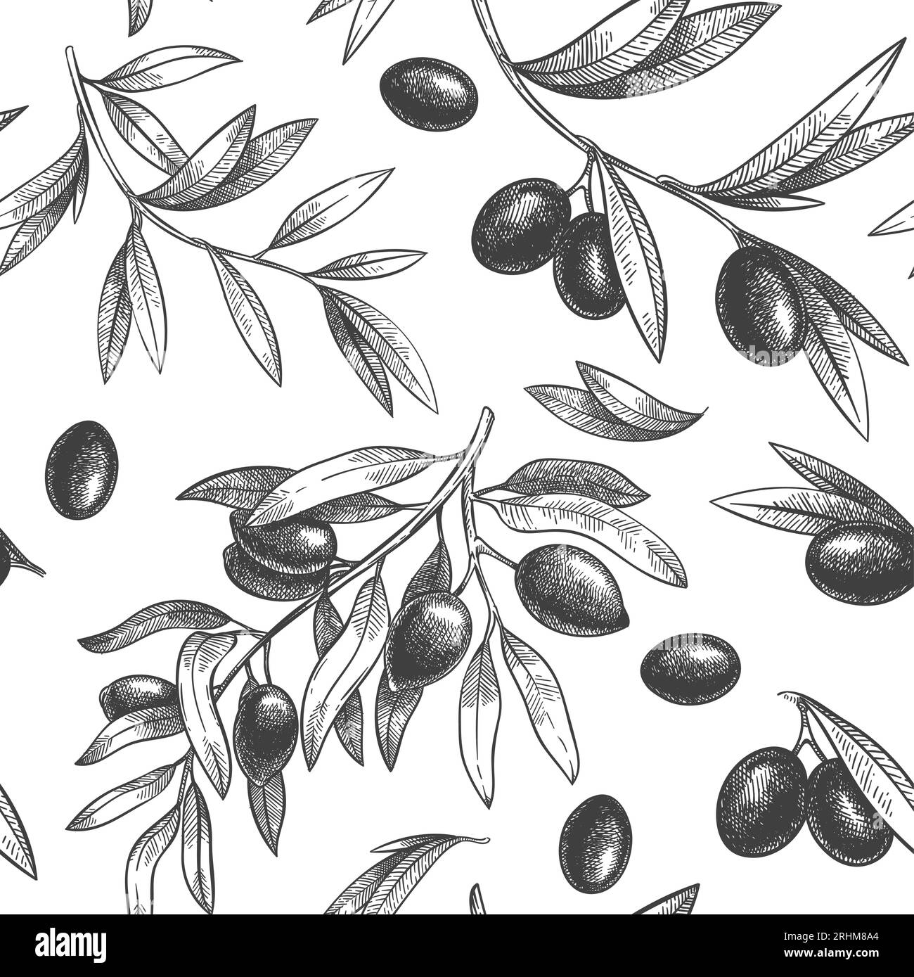 Seamless black olive pattern. Greek olives on branches with leaves