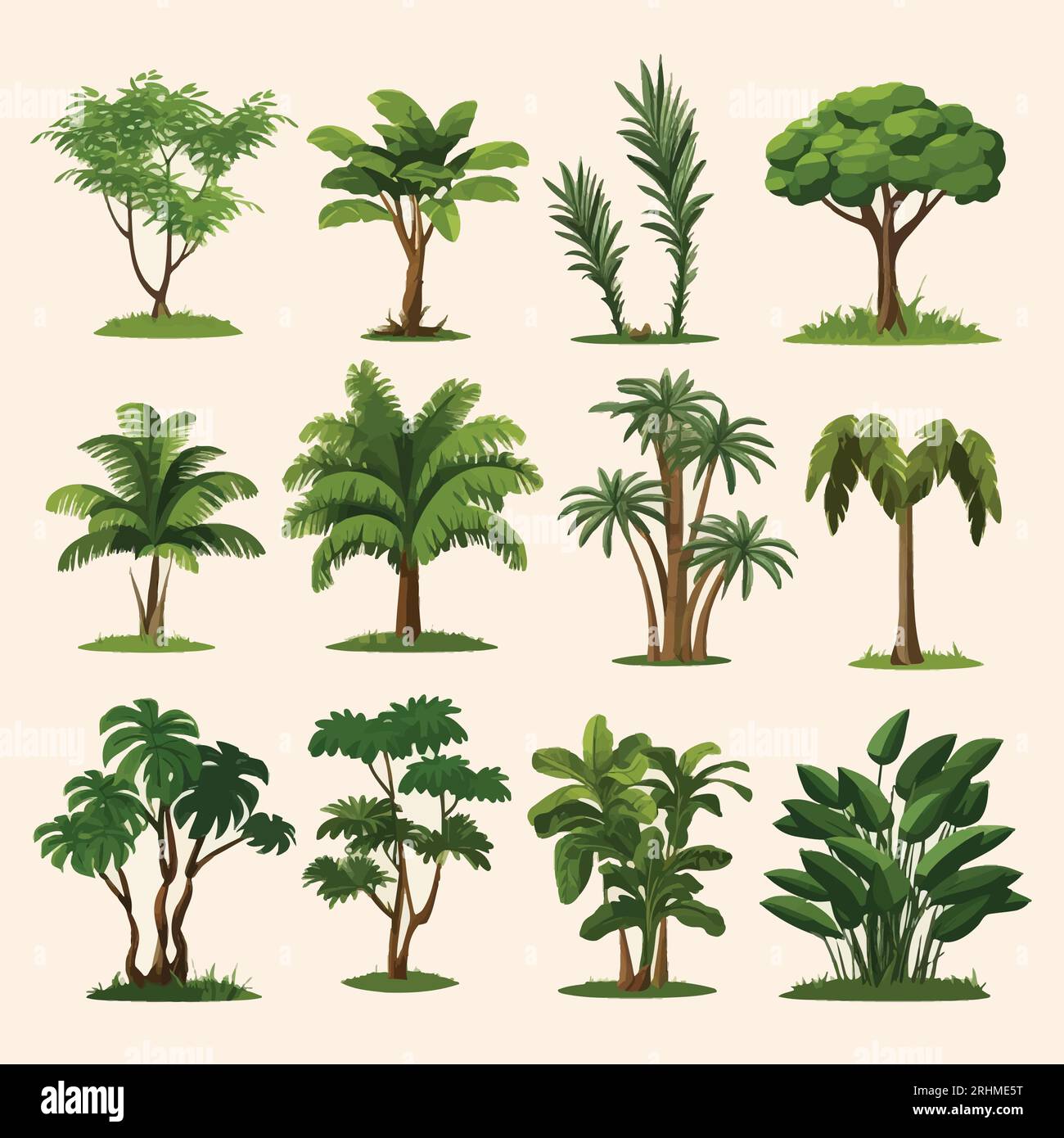 Rain Forest Clip Art