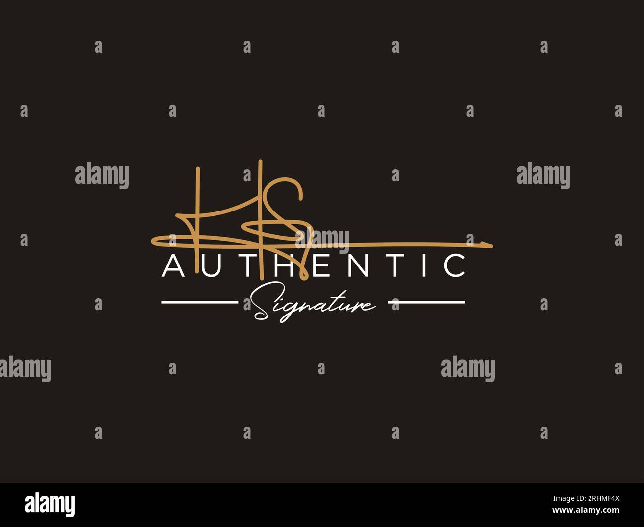 HS Signature Logo Template Vector. Stock Vector