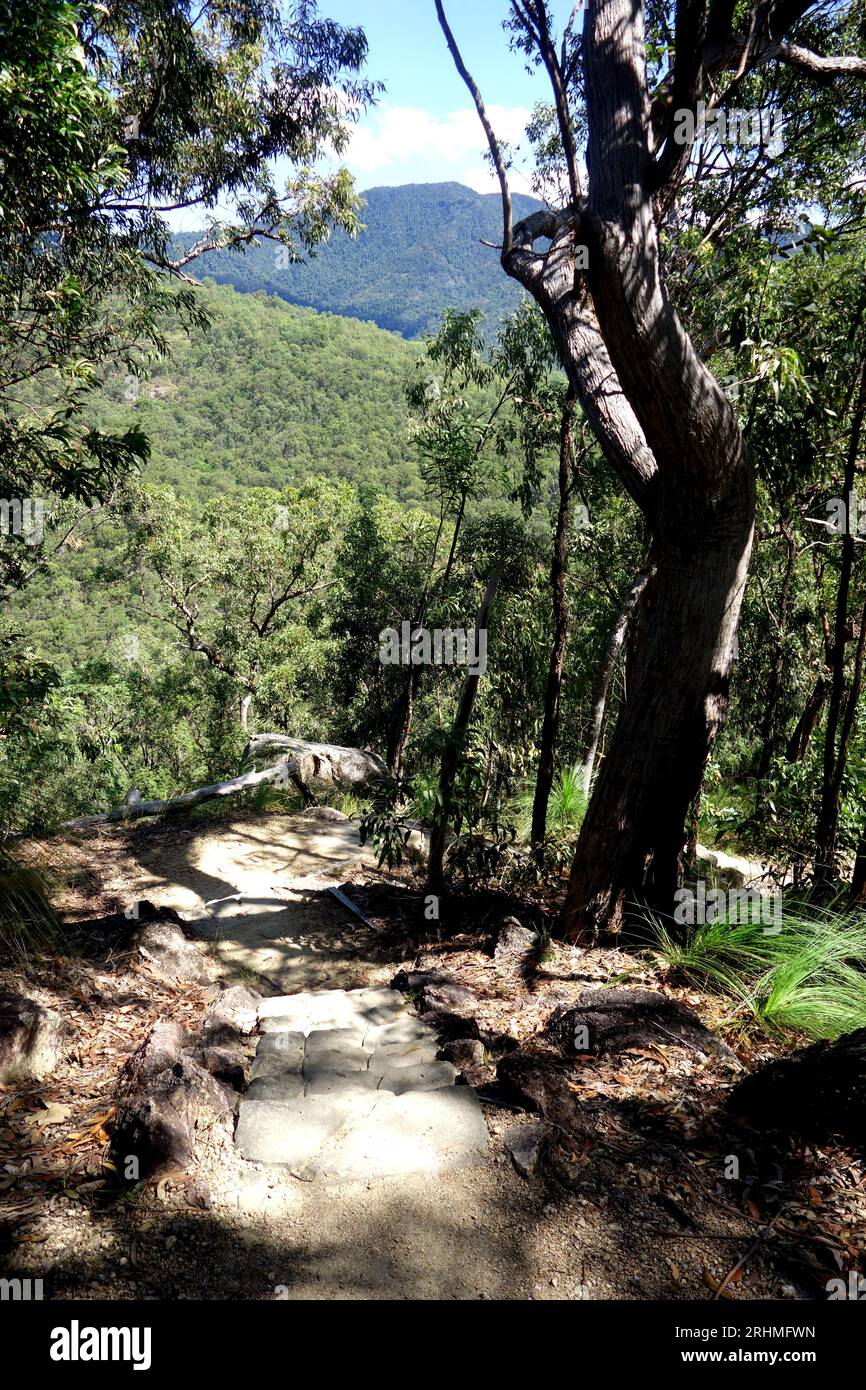 Walk to lookout on Cardwell Forest Drive, Girringun National Park, Queensland, Australia Stock Photo