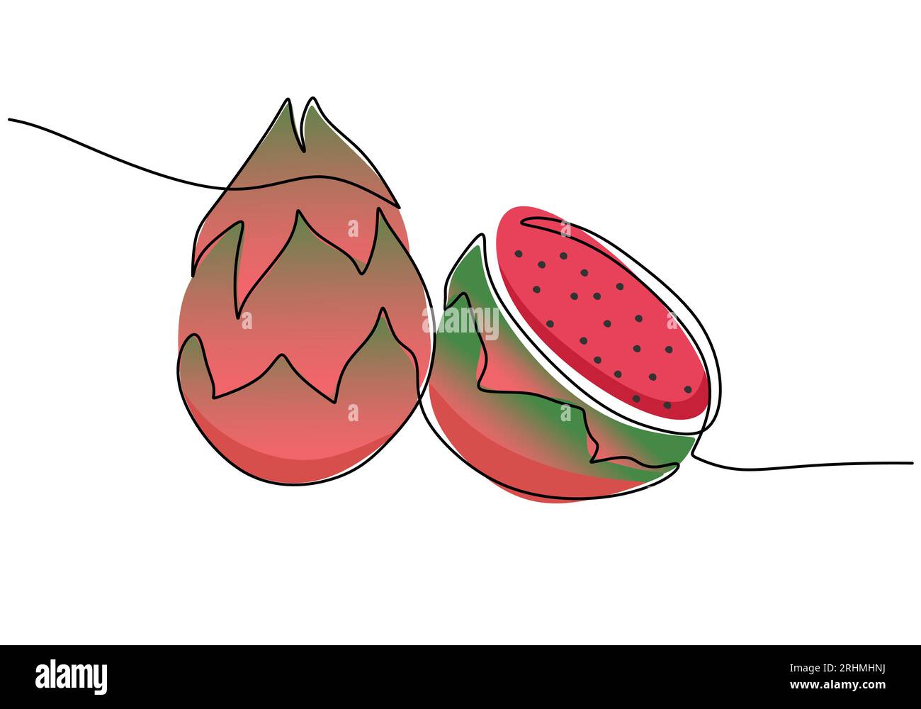 Dragon fruit continuous one line drawing, fruit vector illustration. Stock Vector
