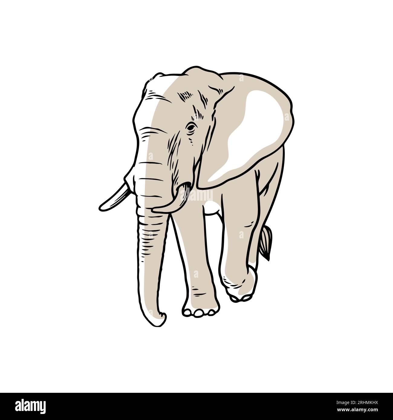 Elephant Hand Painted Draw