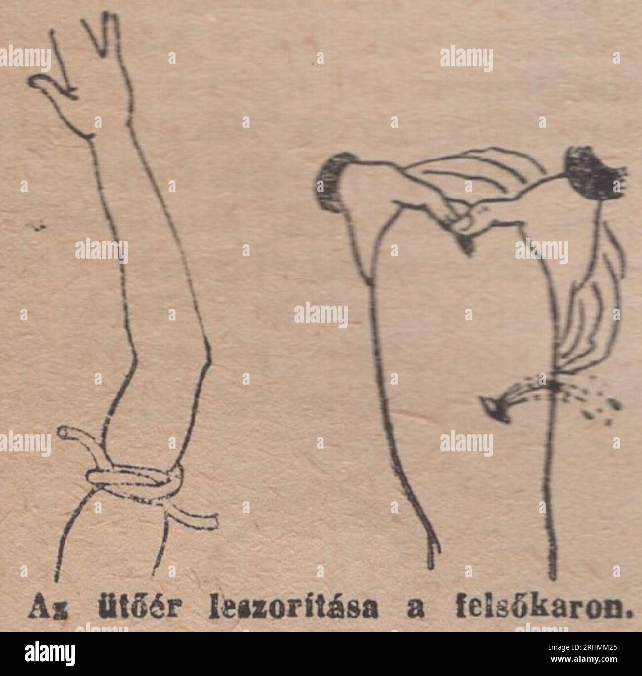 Vintage Illustrated Dictionary from the 1940s Családi kis Lexikon