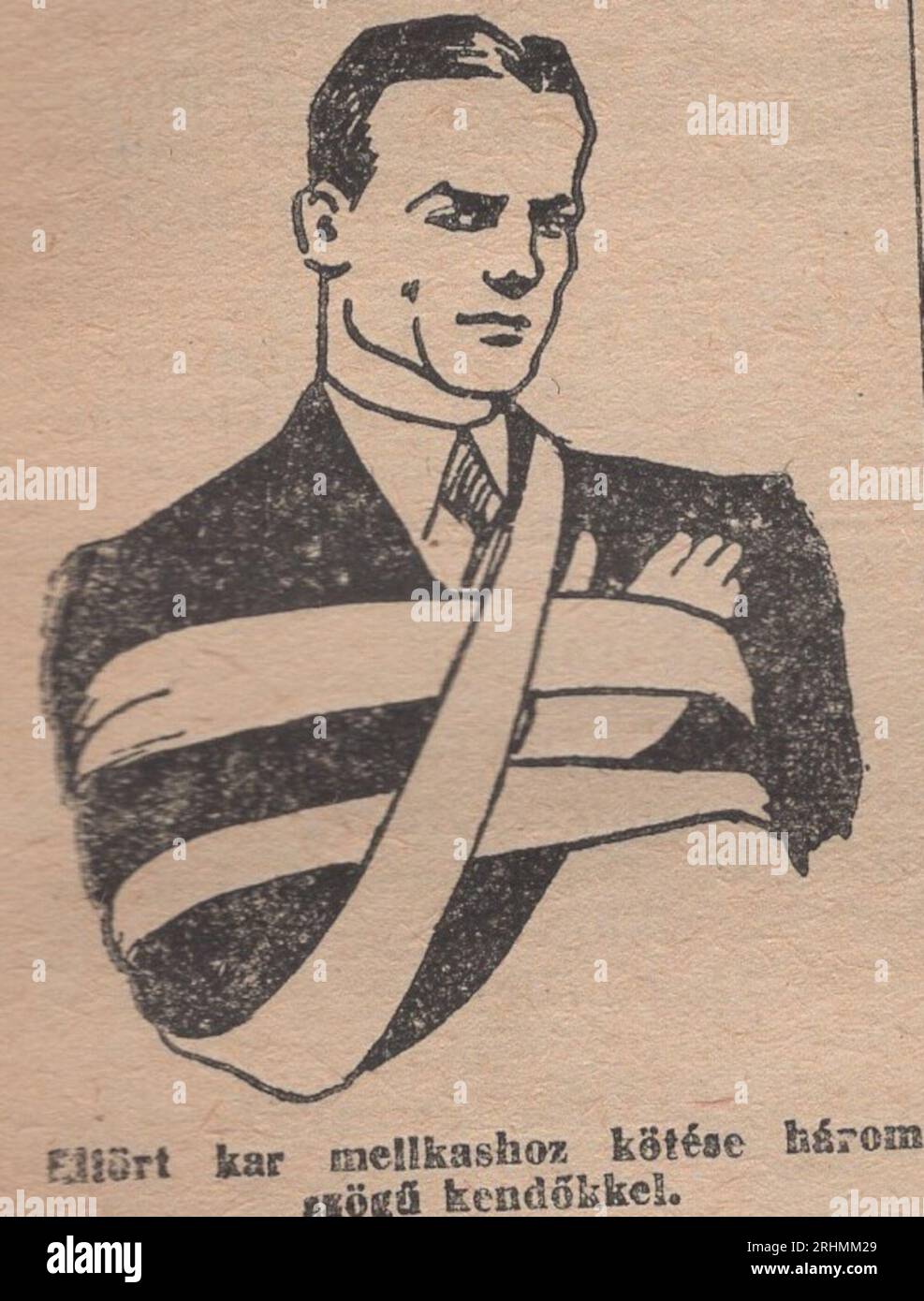 Vintage Illustrated Dictionary from the 1940s Családi kis Lexikon