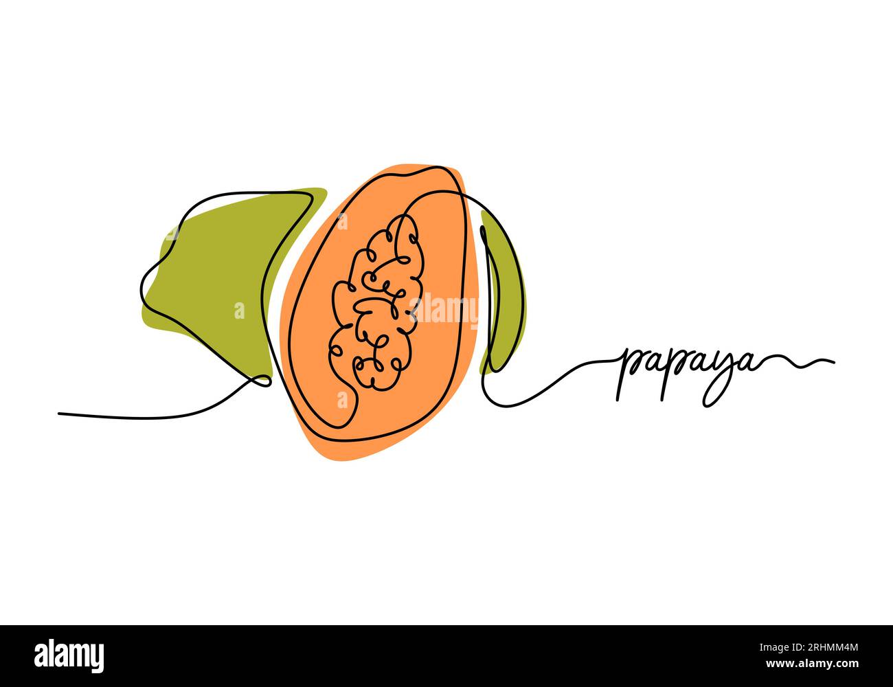 Papaya continuous one line drawing, fruit vector illustration Stock