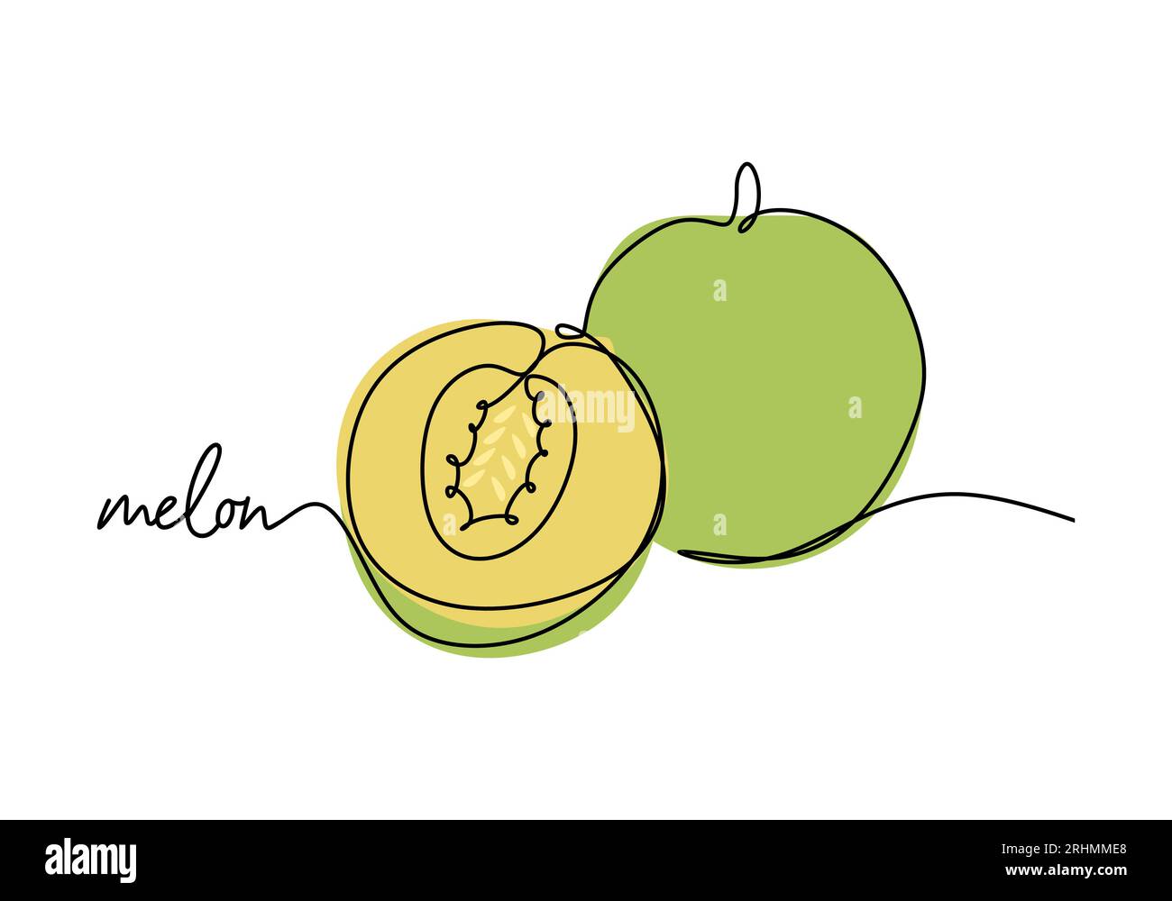 Melon continuous one line drawing, fruit vector illustration Stock