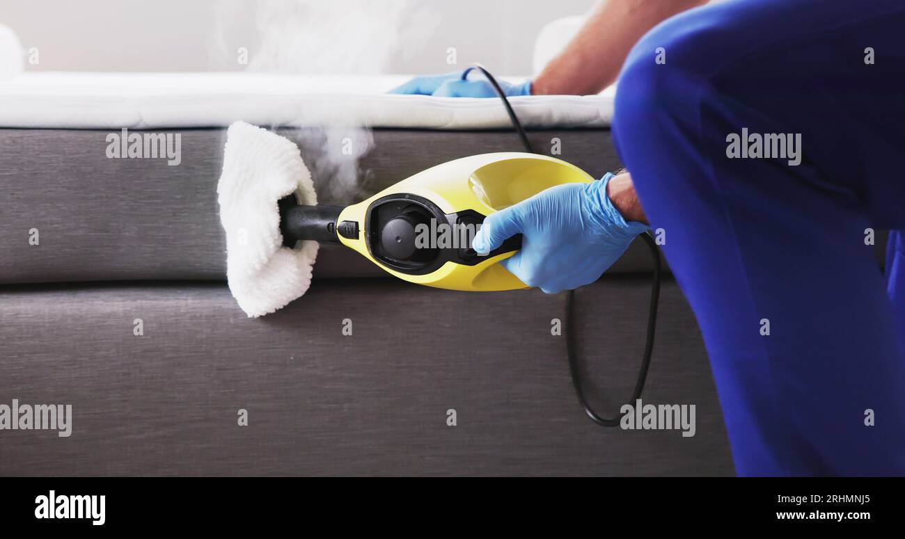 Bed Bug Pest Control Cleaning Using Steam Machine Stock Photo Alamy