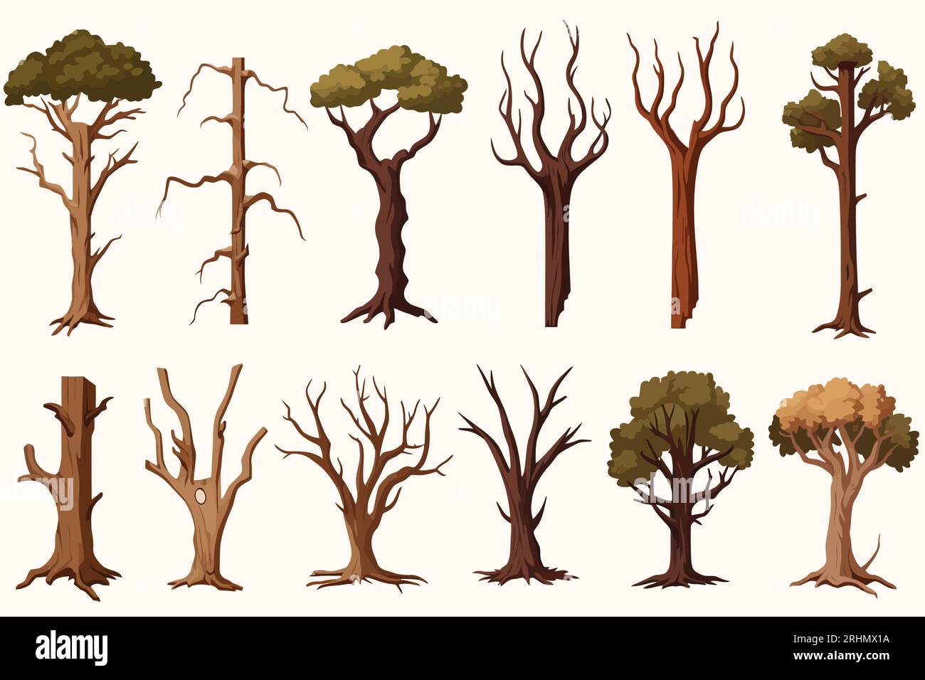 Types Of Hardwood Trees