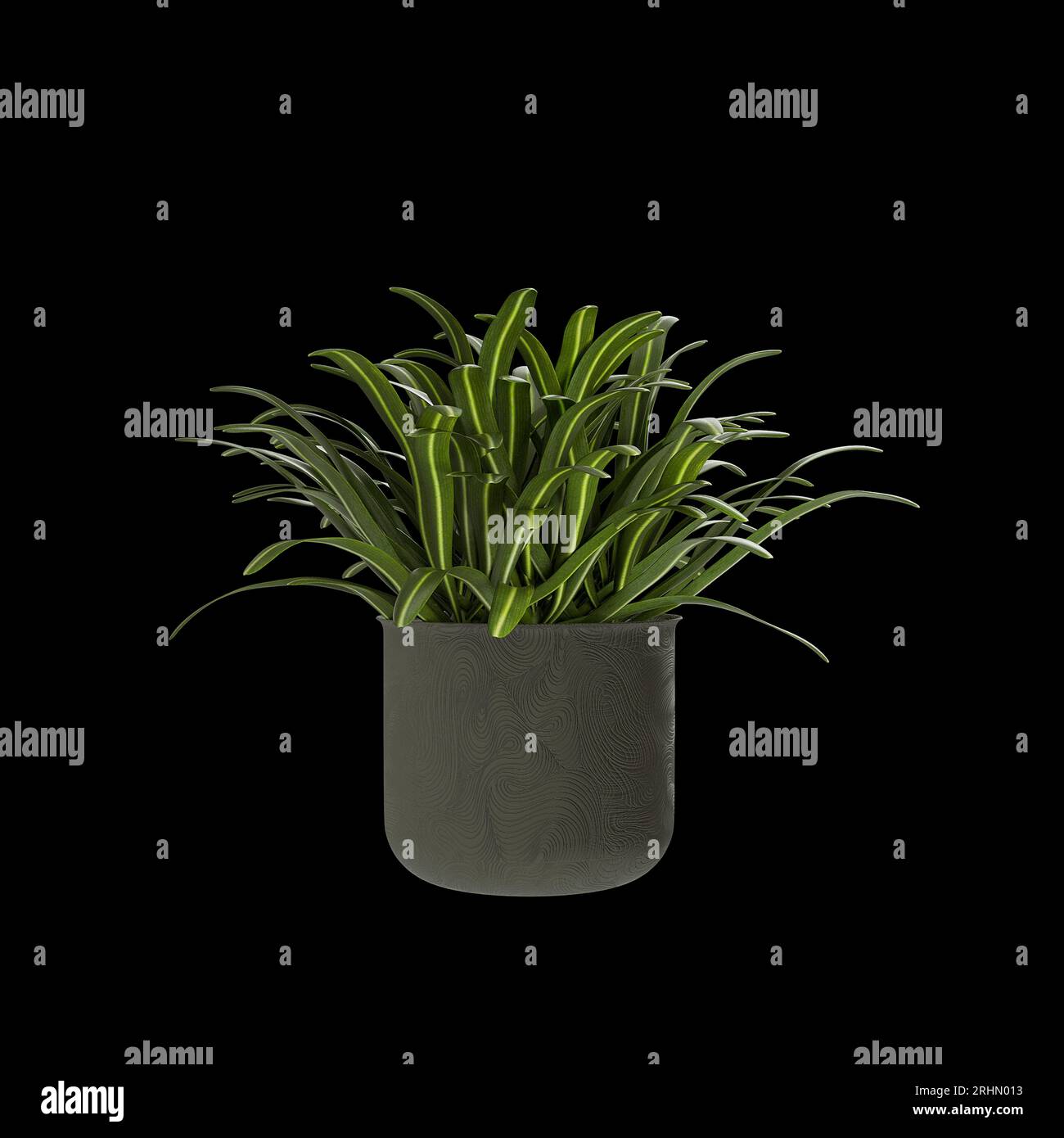 3 d render of houseplant in black pot isolated on black Stock Photo - Alamy