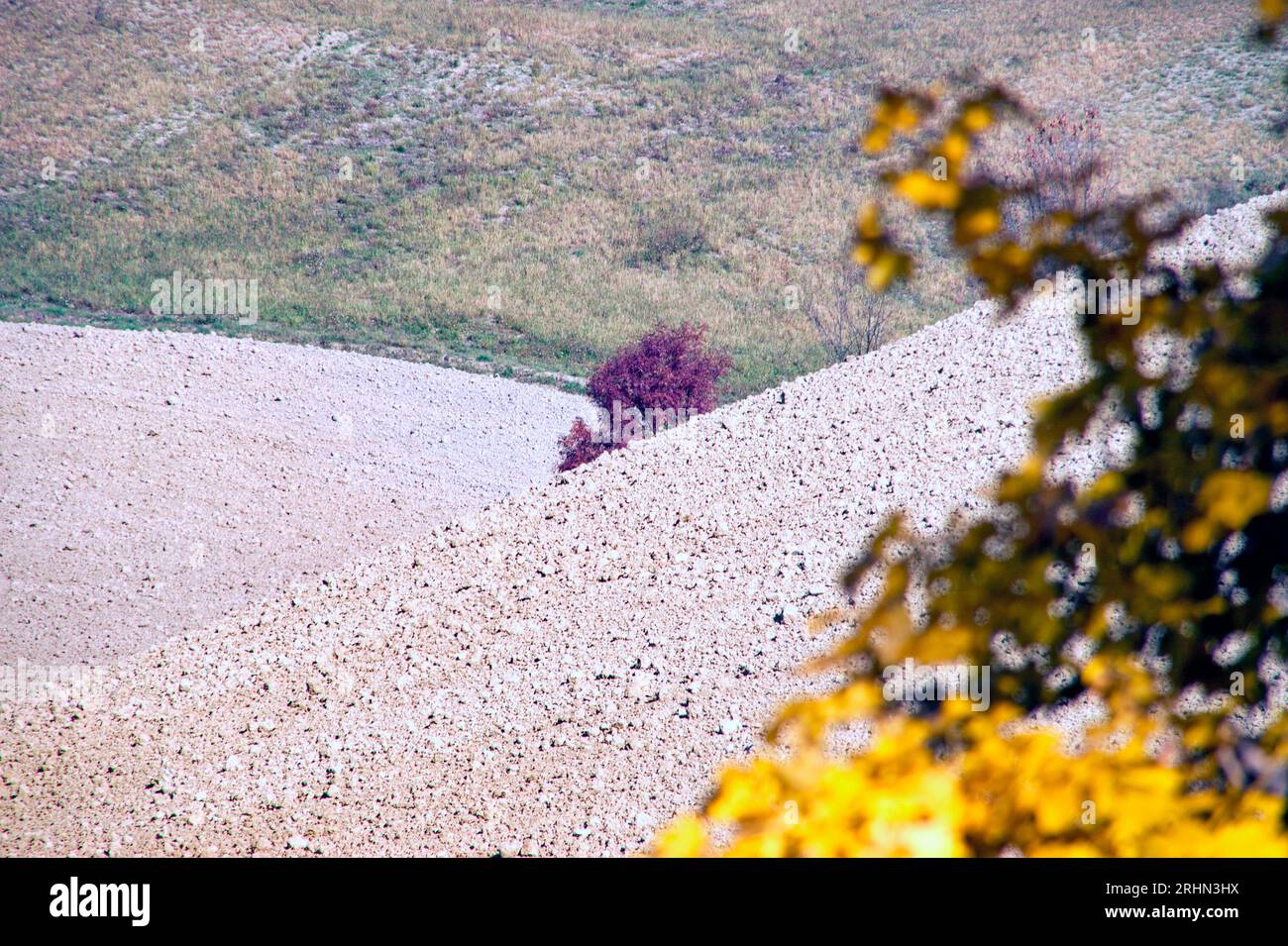 foglie gialle in autunno nel Montefeltro Stock Photo