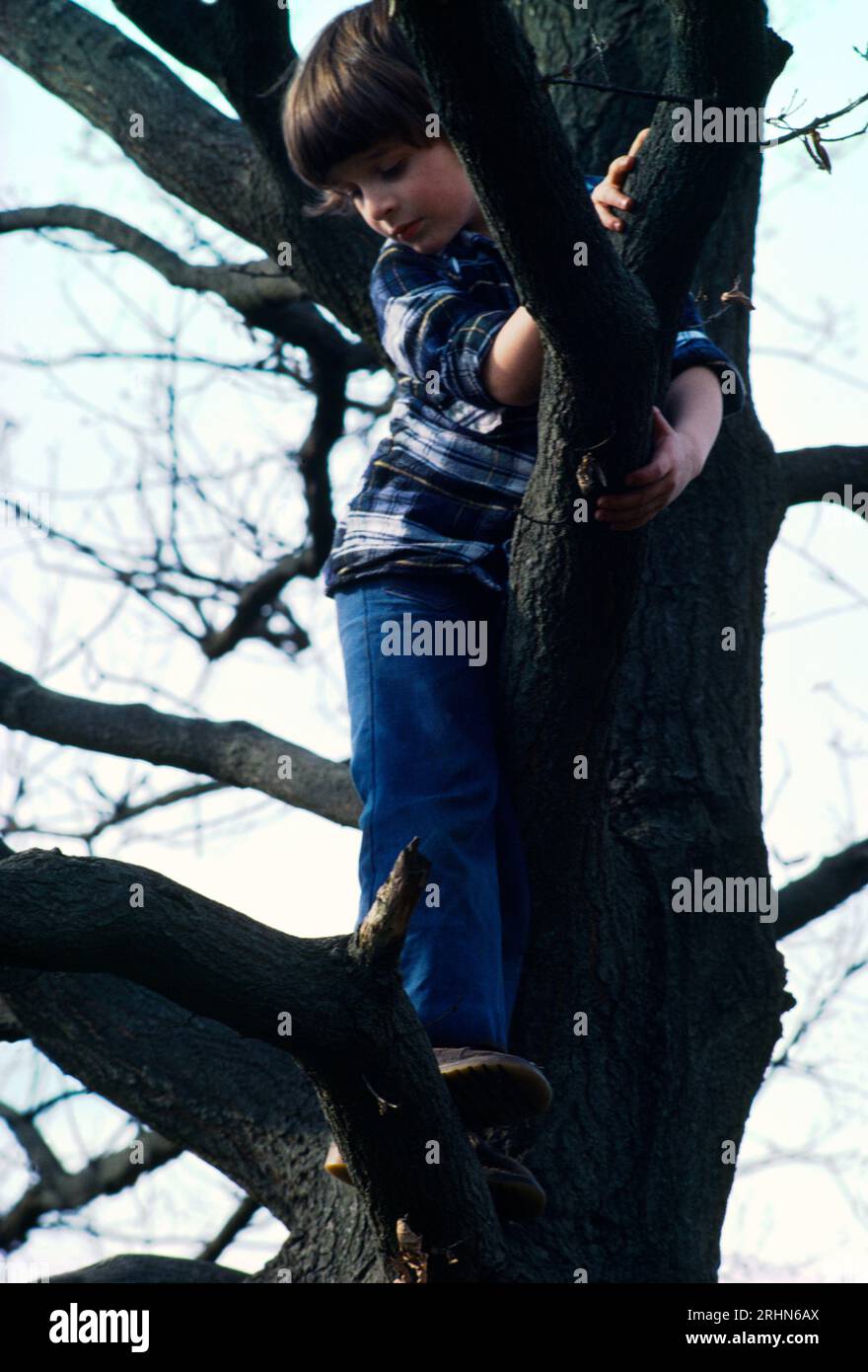 Autistic Child Climbing Tree England Stock Photo Alamy